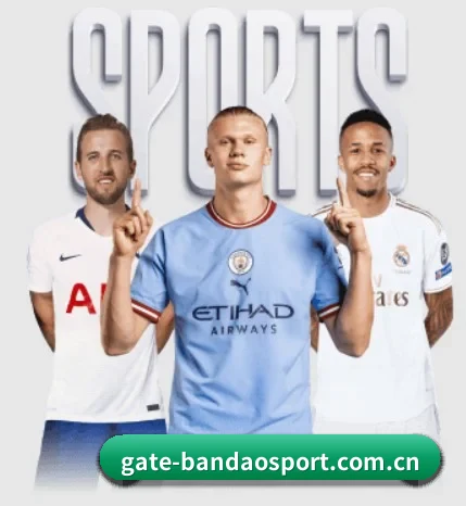 五大服务分区,信息按项目分类（Bandao）